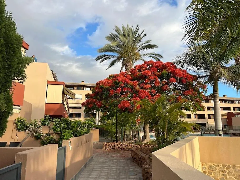 Sun And Sea Vacation In The Heart Of Playa Paraiso Costa Adeje